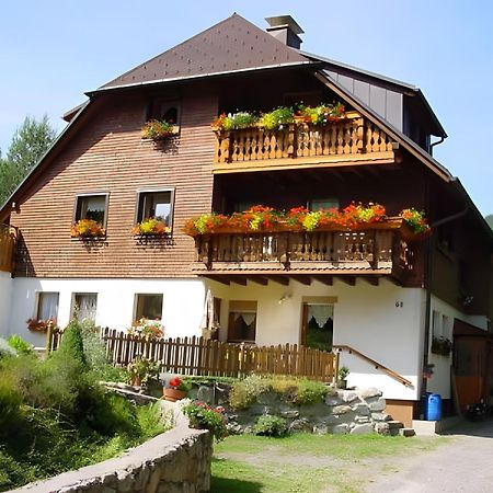 Апартаменти Haus Maria Тодтнау Екстер'єр фото