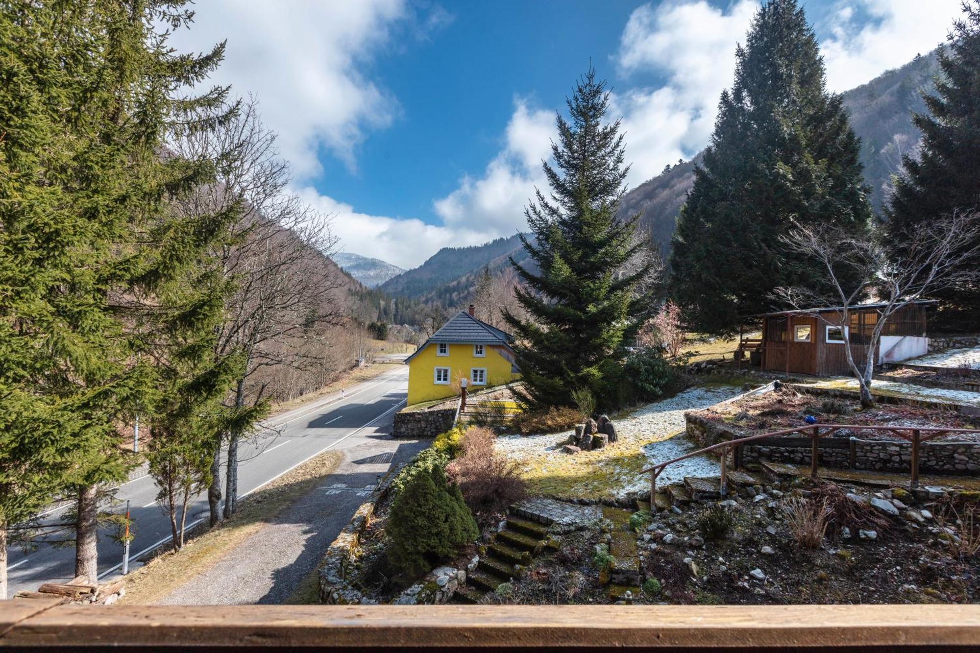 Апартаменти Haus Maria Тодтнау Екстер'єр фото